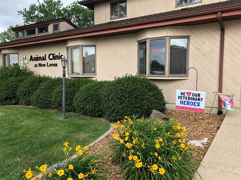 veterinary clinic in New Lenox