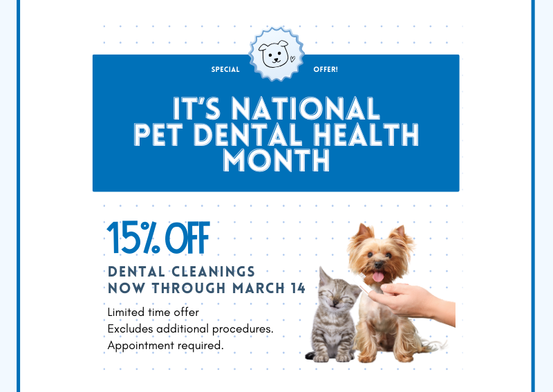 Carousel Slide 1: Click here to book now!