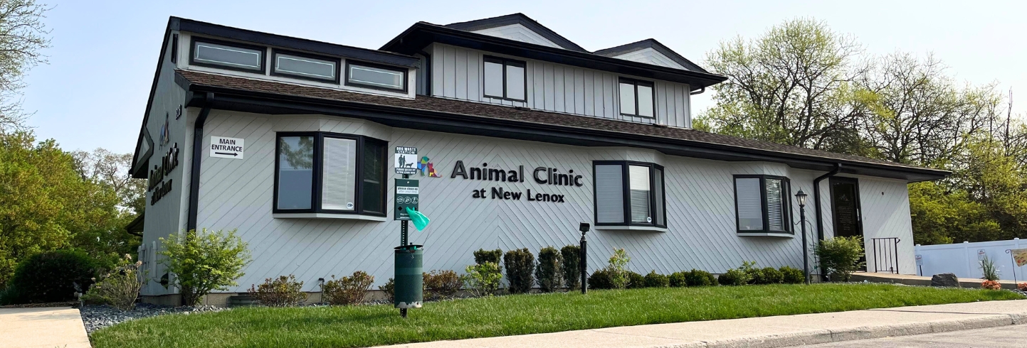 New Lenox veterinarians